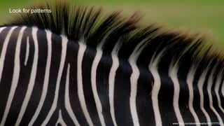 Look for patterns
www.flickr.com/photos/wwarby/4915777722
 