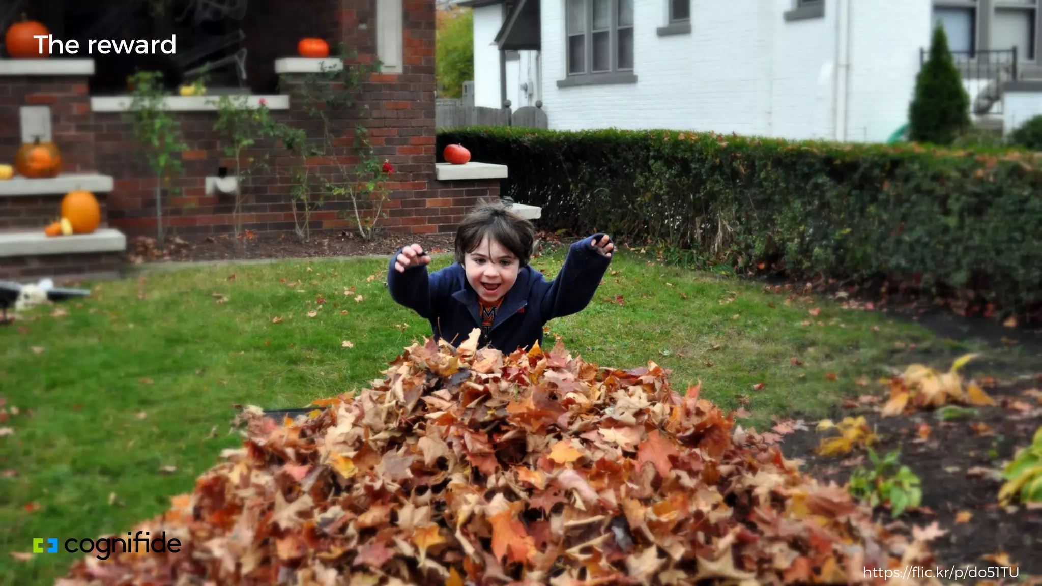 The reward
https://flic.kr/p/do51TU
 