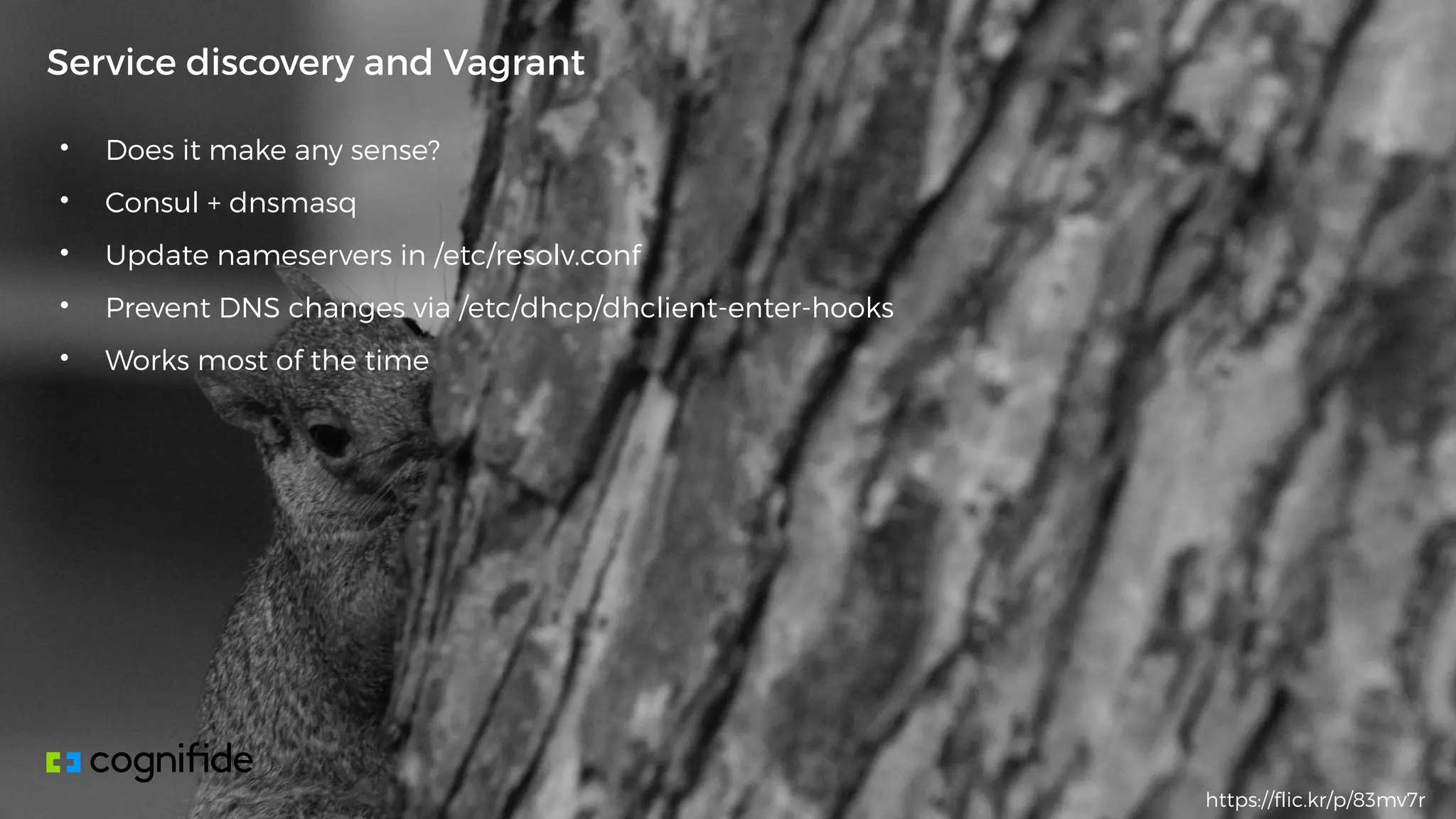 • Does it make any sense?
• Consul + dnsmasq
• Update nameservers in /etc/resolv.conf
• Prevent DNS changes via /etc/dhcp/dhclient-enter-hooks
• Works most of the time
Service discovery and Vagrant
https://flic.kr/p/83mv7r
 
