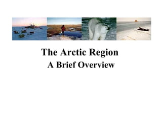 The Arctic Region  A Brief Overview 