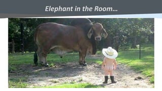 Elephant in the Room…
 