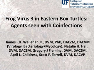 Frog Virus 3 in Eastern Box Turtles:
Agents seen with Coinfections
James F.X. Wellehan Jr., DVM, PhD, DACZM, DACVM
(Virology, Bacteriology/Mycology), Natalie H. Hall,
DVM, DACZM, Gregory J Fleming, DVM, DACZM,
April L. Childress, Scott P. Terrell, DVM, DACVP
 