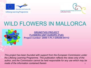   WILD FLOWERS IN MALLORCA GRUNDTVIG PROJECT FLOWERS UNIT EUROPE (FUE) Project number: 2009-1-PL1-GRU06-05112 This project has been founded with support from the European Commission under the Lifelong Learning Programme. This publication reflects the views only of the author, and the Commission cannot be held responsible for any use which may be made of the information contained therein 1 