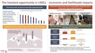 The livestock opportunity in LMICs - economic and livelihoods impacts
0
50000
100000
150000
200000
250000
300000
350000
Rice, paddy Meat, pig Milk, whole
fresh cow
Meat, cattle Maize Meat,
chicken
Wheat Potatoes Eggs, hen,
in shell
Sugarcane
Animal Sourced Foods key components of global food supply
(average annual values 2007-2016; animal source foods: USD 830
billion)
The livestock sector accounts for about 40% of agricultural GDP.
LMICs face different nutritional challenges and need different solutions
than high income countries
Demand for animal-source foods is rising rapidly in developing regions
of the world – how to meet this demand?
Smallholder farmers provide the bulk of the world’s staple foods today
Livestock directly
impacts >half a billion
small scale mixed crop-
livestock farmers
in the world; two-
thirds of poor rural
livestock keepers are
women
Several pathways for meeting growing demand
Importing livestock products
Importing livestock industrial
production know-how
Transforming smallholder
livestock systems
• Milk, meat and eggs provide key nutrients (vitamins A, B12, choline, iron, zinc) critical for
human nutrition and health, especially for new mothers and young children.
• One egg a day can reduce stunting (by 47%) among in 6–9-month-old babies where stunting
levels are high.
40
0
20
Hungry Obese
Stunted Children
0
20
40
20
0
40
Reduce energy deficiency
Reduce micro-
nutrient deficiency
Reduce excessive net
energy and unhealthy diets
Low income
countries
% population
Middle income
countries
% population
High income
countries
% population
 