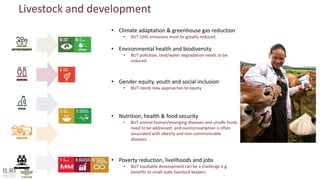 Livestock and development
• Climate adaptation & greenhouse gas reduction
• BUT GHG emissions must be greatly reduced
• Environmental health and biodiversity
• BUT pollution, land/water degradation needs to be
reduced
• Gender equity, youth and social inclusion
• BUT needs new approaches to equity
• Nutrition, health & food security
• BUT animal-human/emerging diseases and unsafe foods
need to be addressed and overconsumption is often
associated with obesity and non-communicable
diseases
• Poverty reduction, livelihoods and jobs
• BUT equitable development can be a challenge e.g.
benefits to small scale livestock keepers
 