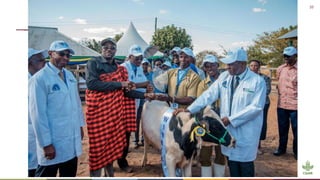 Transforming livestock farming: Key elements for medium scale enterprises