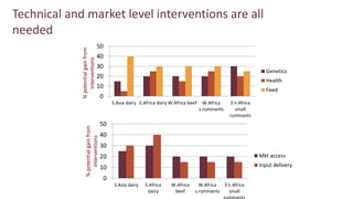 Transforming livestock farming: Key elements for medium scale enterprises