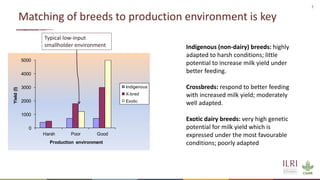 Transforming livestock farming: Key elements for medium scale enterprises