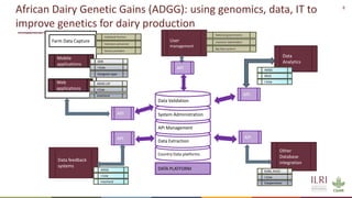 Transforming livestock farming: Key elements for medium scale enterprises
