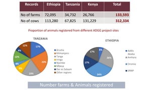 Transforming livestock farming: Key elements for medium scale enterprises
