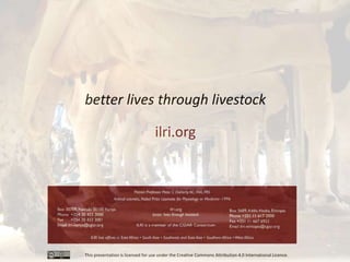 Transforming dairy value chains