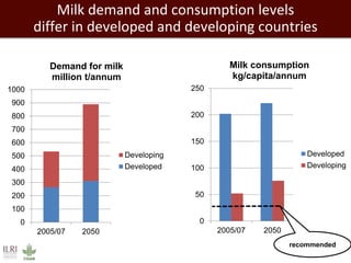 Transforming dairy value chains