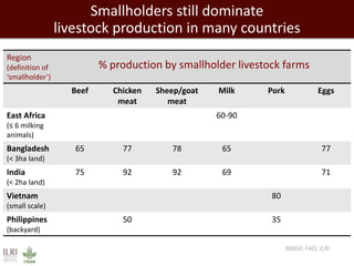 Transforming dairy value chains