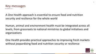 Interventions to support One Health and hygienic markets