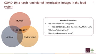 Interventions to support One Health and hygienic markets