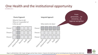 Interventions to support One Health and hygienic markets