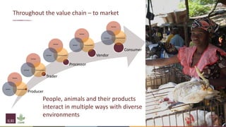 Interventions to support One Health and hygienic markets