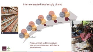 Resilient food supply chains: Exposing and addressing gaps