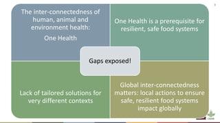 Resilient food supply chains: Exposing and addressing gaps