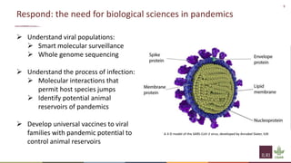 9
Respond: the need for biological sciences in pandemics
 Understand viral populations:
 Smart molecular surveillance
 Whole genome sequencing
 Understand the process of infection:
 Molecular interactions that
permit host species jumps
 Identify potential animal
reservoirs of pandemics
 Develop universal vaccines to viral
families with pandemic potential to
control animal reservoirs
A 3-D model of the SARS-CoV-2 virus, developed by Annabel Slater, ILRI
 