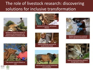 Livestock science with the end in mind: Discovering and delivering solutions for a sustainable, healthy livestock sector