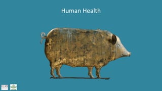 Transforming the global food systems: Challenges and opportunities