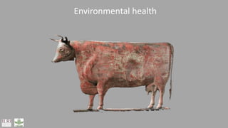 Transforming the global food systems: Challenges and opportunities