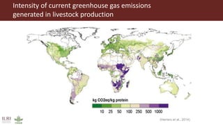 Transforming the global food systems: Challenges and opportunities