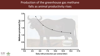 Transforming the global food systems: Challenges and opportunities