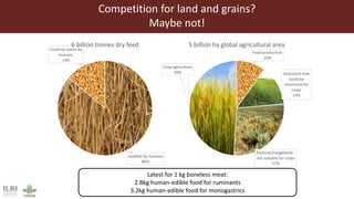 Transforming the global food systems: Challenges and opportunities