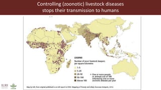 Transforming the global food systems: Challenges and opportunities