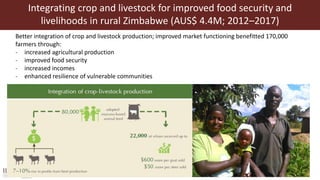 Transforming the global food systems: Challenges and opportunities