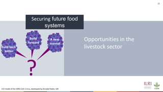 Resilient food and agriculture systems in Kenya within the COVID-19 pandemic: opportunities and challenges (focus on livestock)