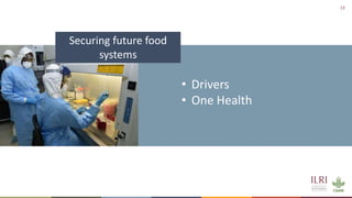 Resilient food and agriculture systems in Kenya within the COVID-19 pandemic: opportunities and challenges (focus on livestock)