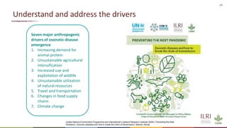 Resilient food and agriculture systems in Kenya within the COVID-19 pandemic: opportunities and challenges (focus on livestock)