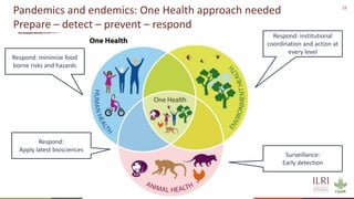 Resilient food and agriculture systems in Kenya within the COVID-19 pandemic: opportunities and challenges (focus on livestock)