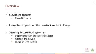 Resilient food and agriculture systems in Kenya within the COVID-19 pandemic: opportunities and challenges (focus on livestock)