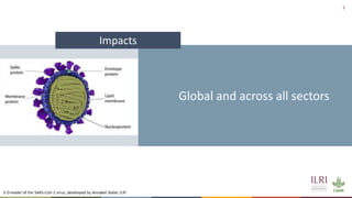 Resilient food and agriculture systems in Kenya within the COVID-19 pandemic: opportunities and challenges (focus on livestock)