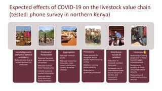 Resilient food and agriculture systems in Kenya within the COVID-19 pandemic: opportunities and challenges (focus on livestock)
