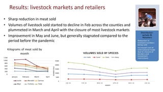 Resilient food and agriculture systems in Kenya within the COVID-19 pandemic: opportunities and challenges (focus on livestock)