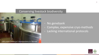 Livestock biodiversity for sustainable, resilient food systems