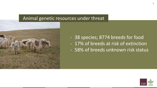 Livestock biodiversity for sustainable, resilient food systems