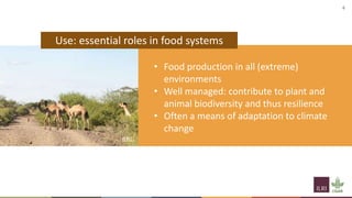 Livestock biodiversity for sustainable, resilient food systems