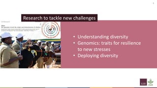 Livestock biodiversity for sustainable, resilient food systems