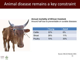 11
Animal disease remains a key constraint
Young Adult
Cattle 22% 6%
Shoat 28% 11%
Poultry 70% 30%
Source: Otte & Chilonda; IAEA
Annual mortality of African livestock
Around half due to preventable or curable diseases
 