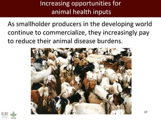 Opportunities for public-private investment in animal health in developing countries 