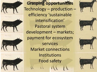 Livestock in the horn of Africa: An opportunity in waiting 
