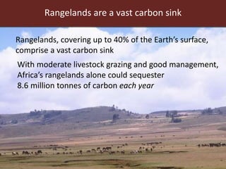 Livestock and resilient future food systems: Developing countries and global perspectives