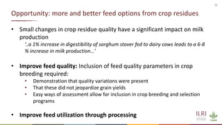 Winning solutions for climate-smart dairy animal nutrition in India