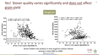 Winning solutions for climate-smart dairy animal nutrition in India